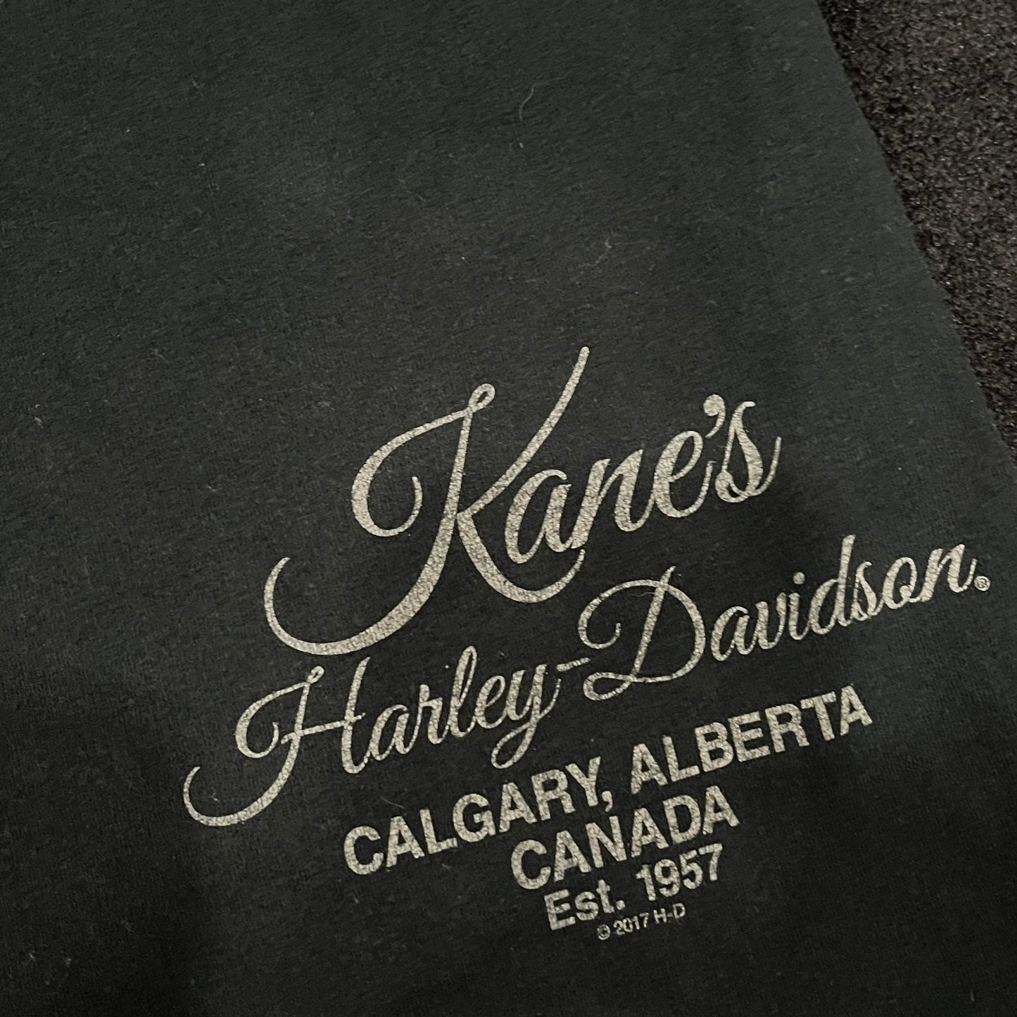 (XS/S) Y2K Harley Davidson Wing Hoodie