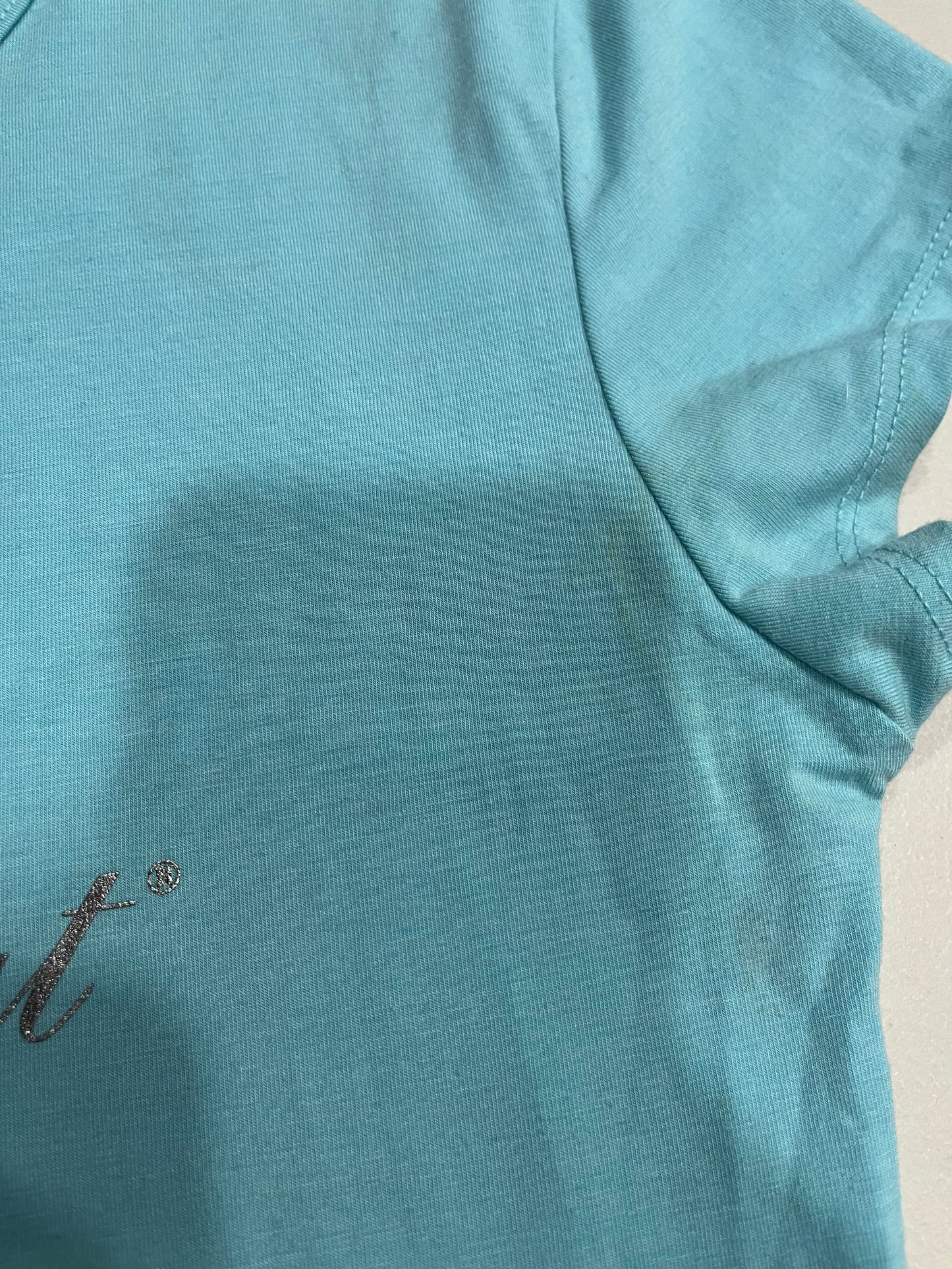 (M/L) 2000s Baby Phat Silver & Blue Baby Tee