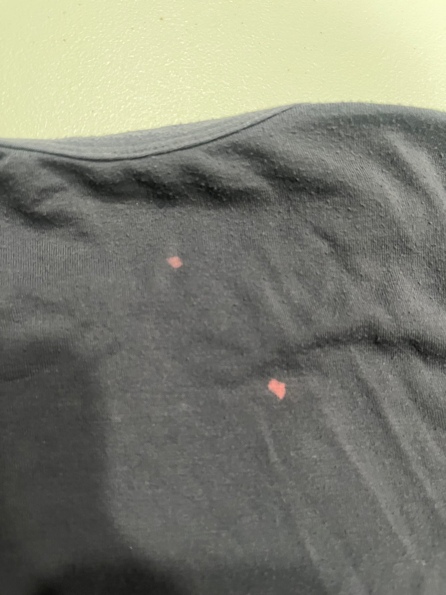 (XS) 2000s Angel Wing & Roses Fitted Graphic Top